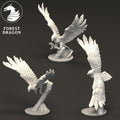 Aurethil Court Phoenix and Eagles