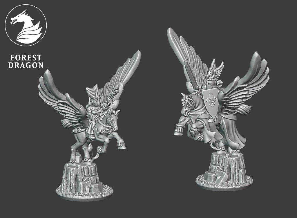 Chivalric heroes on Pegasus