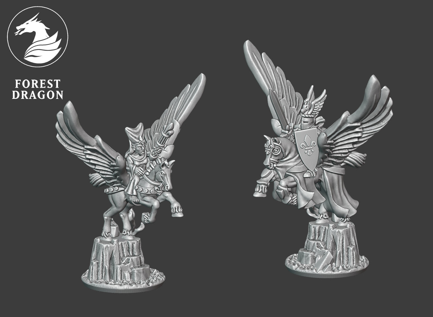 Chivalric heroes on Pegasus