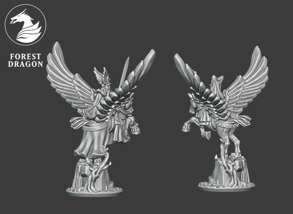 Chivalric heroes on Pegasus