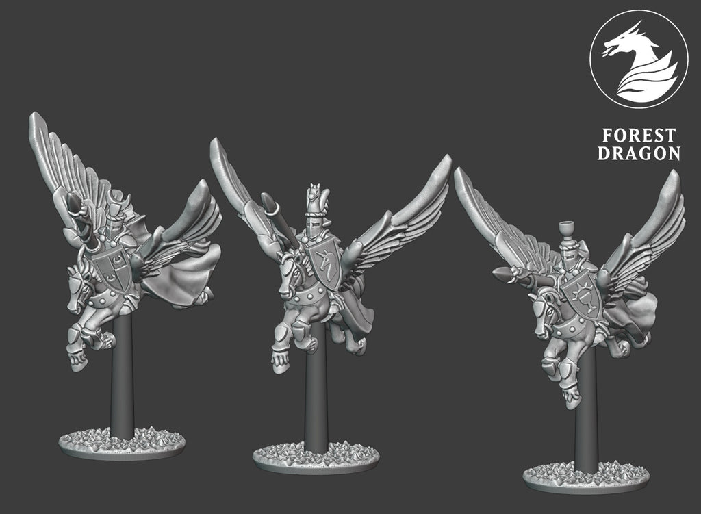 Chivalric Pegasus Knights