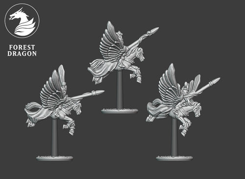 Chivalric Pegasus Knights