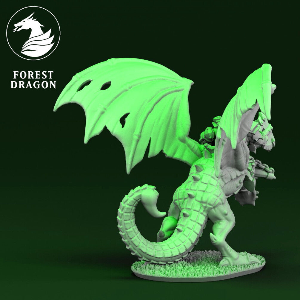 Wyvern
